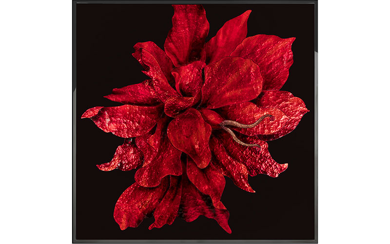 Фото 1 - Декоративная работа Red Flower 